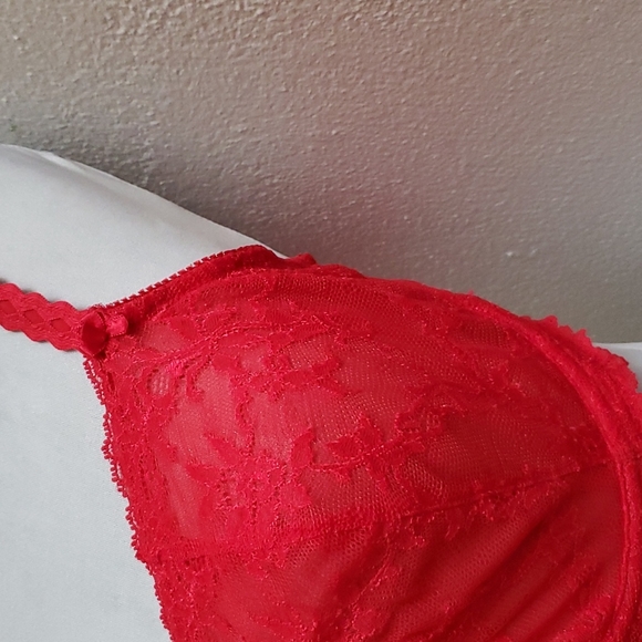 Bra & Panty Set Sizes 38DD/1x Red Lace By Felina Lingerie & Donna Loren - Picture 9 of 16
